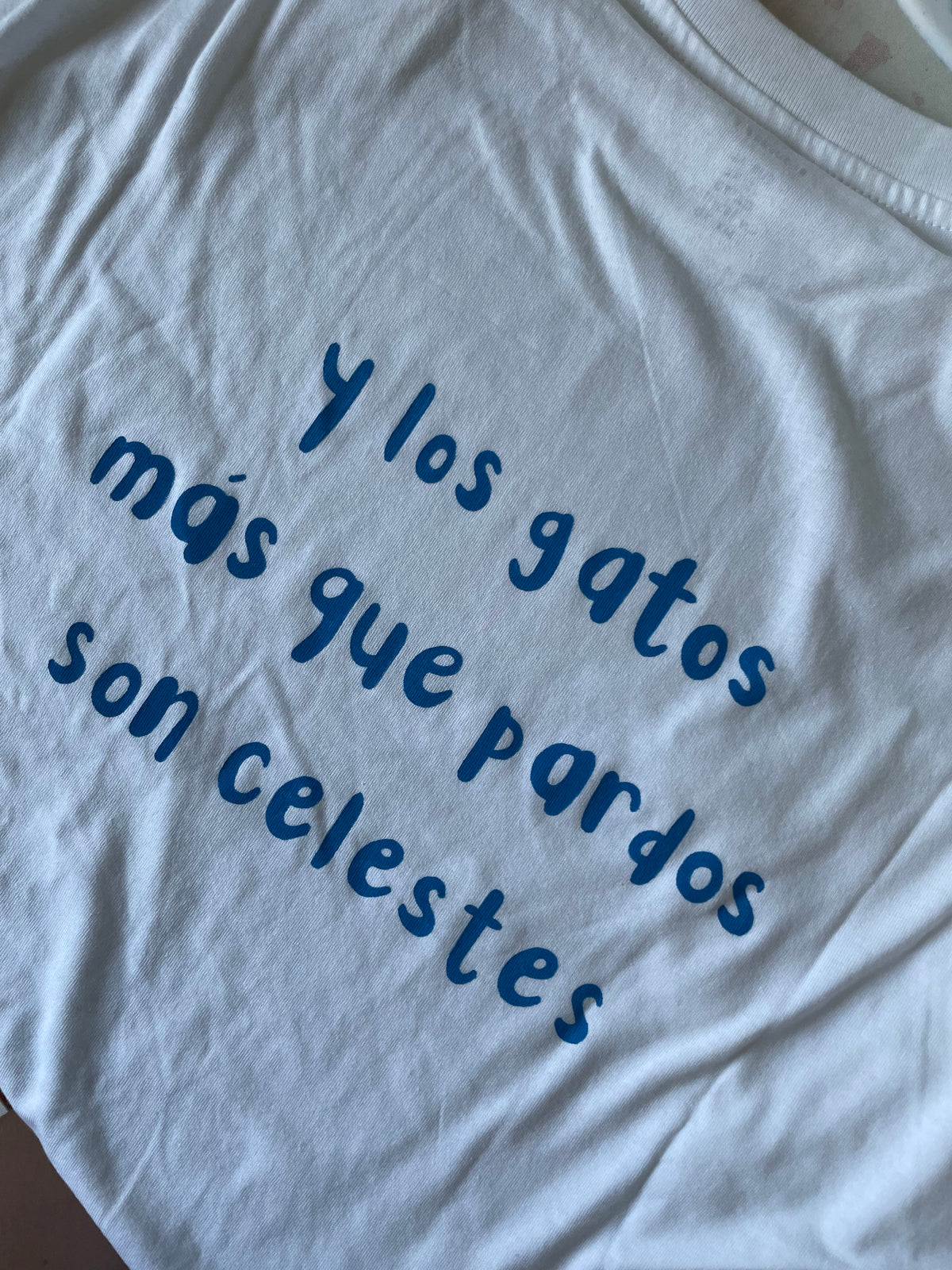 Camiseta personalizada Melendi